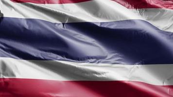 Thailand flag slow waving on the wind loop. Thai banner smoothly swaying on the breeze. Full filling background. 20 seconds loop. video