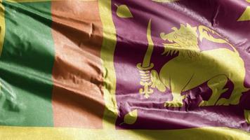 sri lanka textiel vlag zwaaien op de wind-lus. Sri Lanka banner zwaaiend op de wind. stof textiel weefsel. volledige vulling achtergrond. 10 seconden lus. video