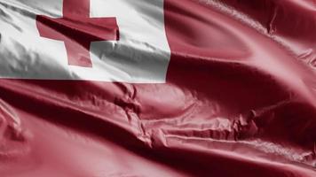 Tonga-Flagge weht auf der Windschleife. Tonga-Banner wiegen sich im Wind. voll ausfüllender Hintergrund. 10 Sekunden Schleife. video