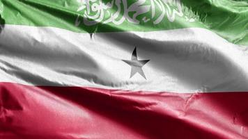 Somaliland textiel vlag langzaam zwaaien op de wind-lus. Somaliland banner soepel zwaaiend op de wind. stof textiel weefsel. volledige vulling achtergrond. 20 seconden lus. video