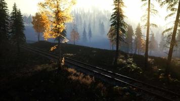National Forest Recreation Area and the fog with railway video