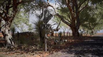 outback road with dry grass and trees video