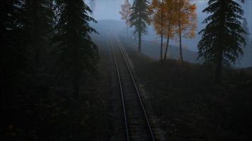 zone de loisirs forestière nationale et le brouillard avec chemin de fer video