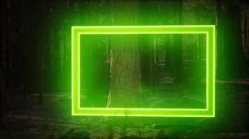 quadro de retângulo brilhante neon na floresta noturna video