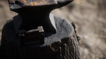 Old anvil attached to a stump video