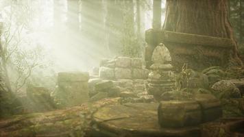 Hoary ruins of ancient city in pine forest video