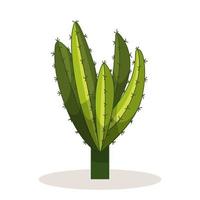 Cactus with thorns. Mexican green plant with spines. Element of the desert and southern landscape. Cartoon flat vector illustration. Isolated on white background.