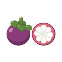 Mangosteen Flat Illustration. Clean Icon Design Element on Isolated White Background vector