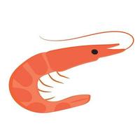 Fresh shrimp. Seafood and clam Isolated vector illustration.