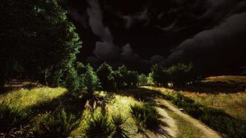 Thunderstorm clouds with lightning in green meadow video