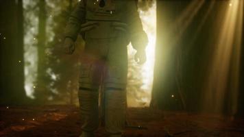 astronaute solitaire dans la forêt sombre video