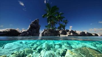 vista suddivisa sezione trasversale di acqua di mare e palme sull'isola video