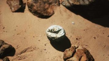 old football ball on the sand beach video