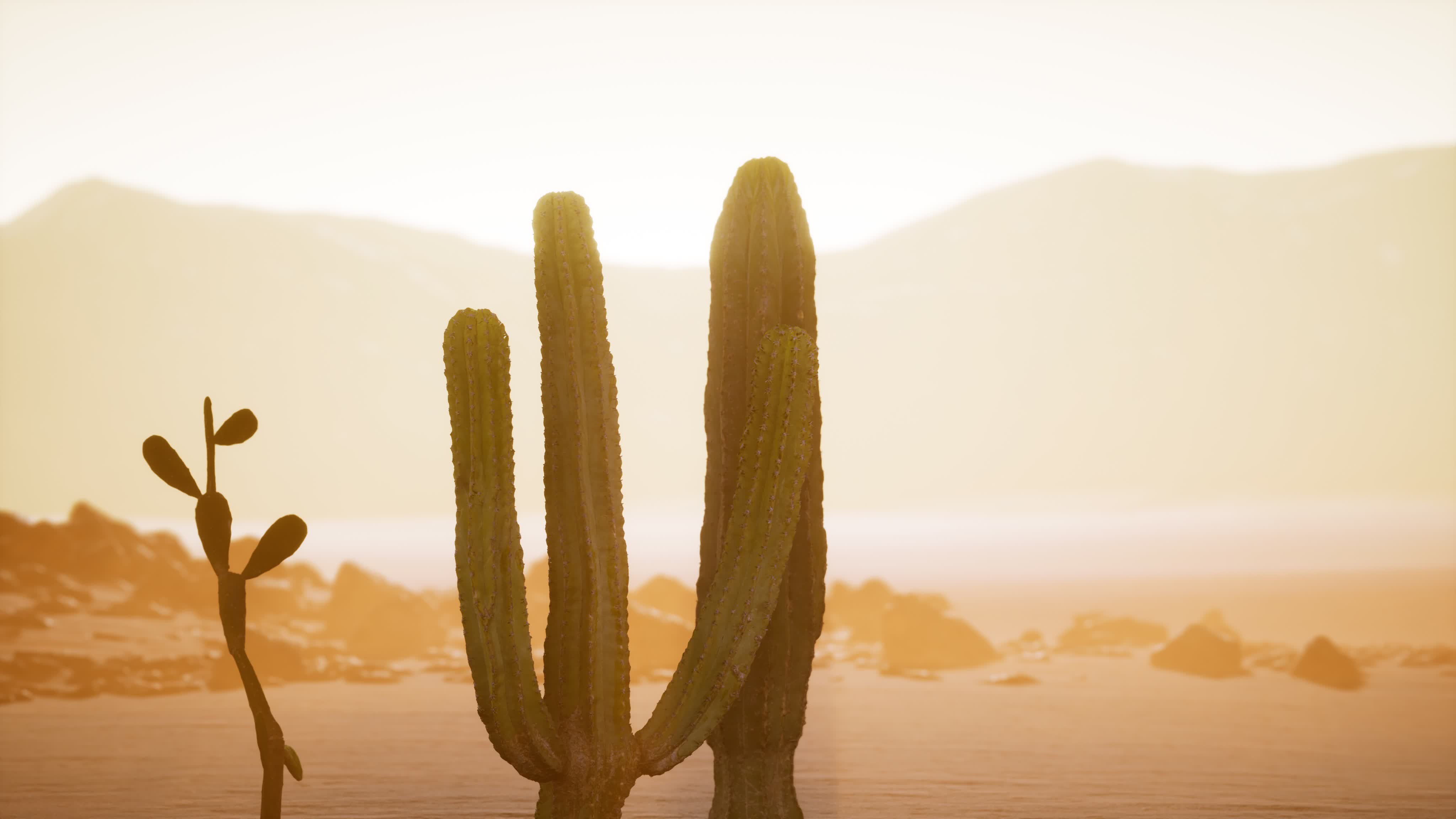 Arizona desert sunset with giant saguaro cactus 5936022 Stock Video at ...