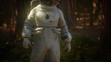 astronauta solitário na floresta escura video