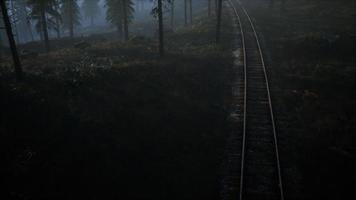 área de recreación del bosque nacional y la niebla con ferrocarril video