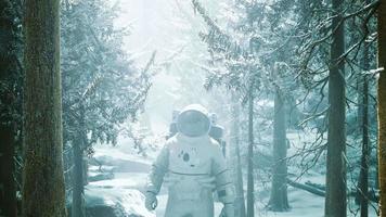 astronauta explorando floresta na neve video