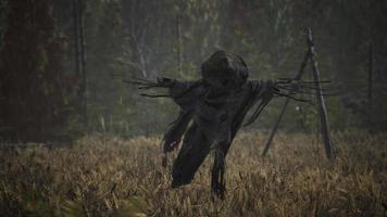 terrible scarecrow in dark cloak and dirty hat stands alone in autumn field video