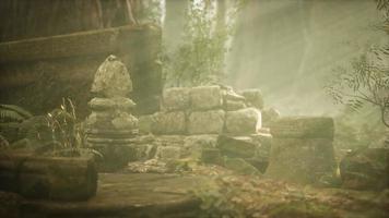 Hoary ruins of ancient city in pine forest video