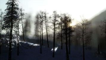 hermoso paisaje de invierno en las montañas video