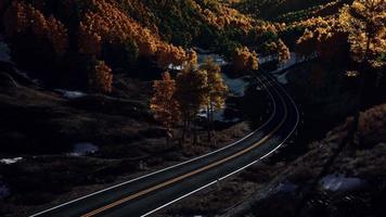 vue aérienne de la forêt enneigée avec une route video