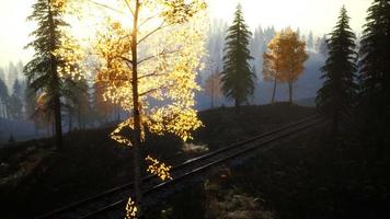 National Forest Recreation Area and the fog with railway video