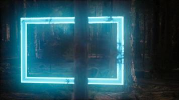 Neon glowing rectangle frame in the night forest video