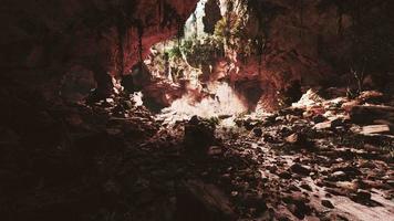 large fairy rocky cave with green plants video