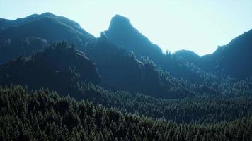 tiro grande angular da paisagem de montanhas com floresta de primavera video