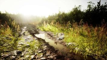 unbefestigte Landstraße im Feld im Herbst an einem sonnigen Tag video