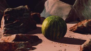 fresh watermelon on a beautiful sand beach video