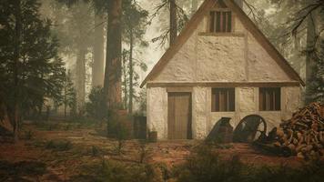 old wooden house in the autumn forest video