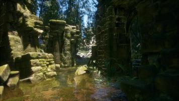 Stone ruins in a forest, abandoned ancient castle video