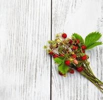 bunch of wild strawberry photo