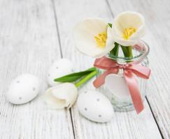 Easter eggs and tulips photo