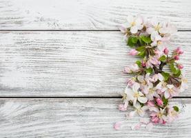 flor de manzano de primavera foto