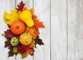 Pumpkin and leaves photo