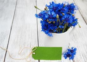 cornflowers in vase photo