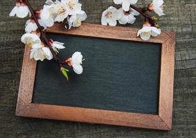 flor de albaricoque de primavera y pizarra foto