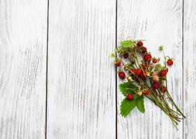 bunch of wild strawberry photo