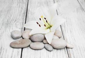 White lily and massage stones photo