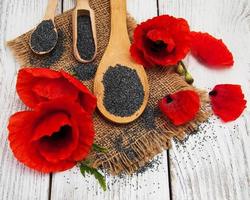 Poppy seeds and flowers photo