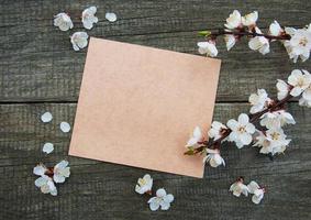 Spring apricot  blossom and card photo