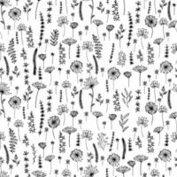 Seamless flowers pattern. Hand drawn outline stroke. Floral and Nature theme. Vector illustration. Black sketch flowers.