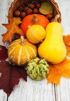 Pumpkin and leaves photo