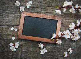 Spring apricot  blossom and blackboard photo