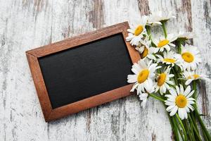 Camomile with blackboard photo