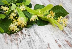 Linden flowers on the table photo