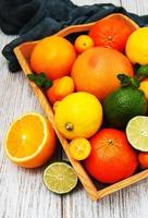 Fresh citrus fruits photo