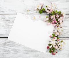 apple blossoms with card photo